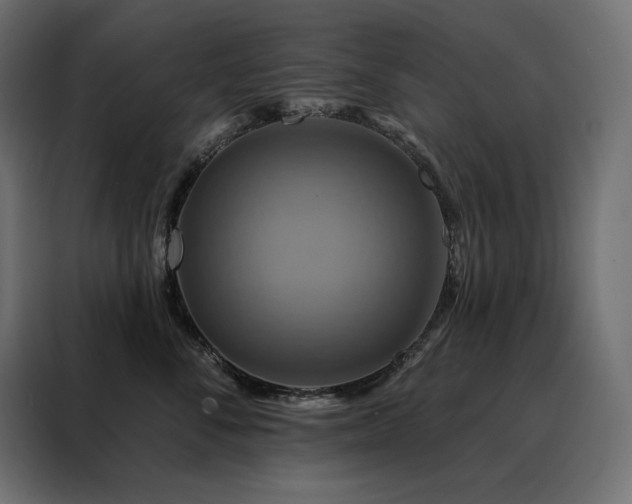 X0000088470716200705221403