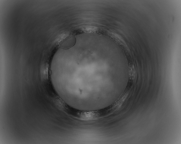 X0000088470717200705221403