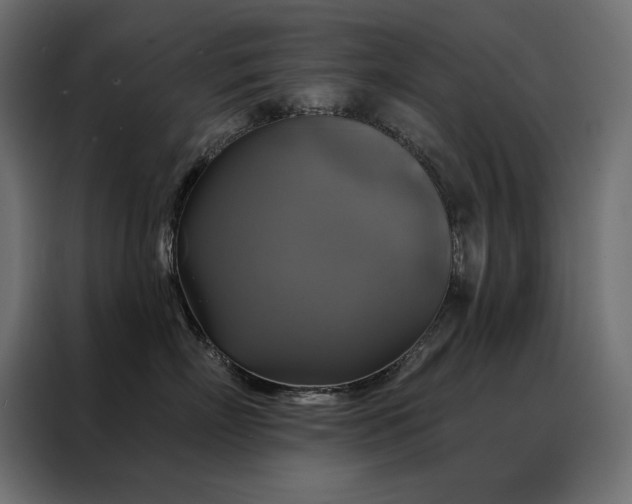 X0000088470718200705221403