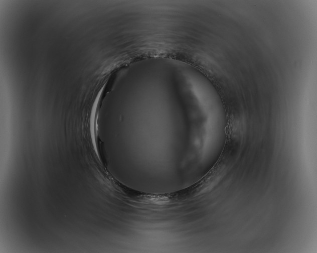 X0000088470719200705221403