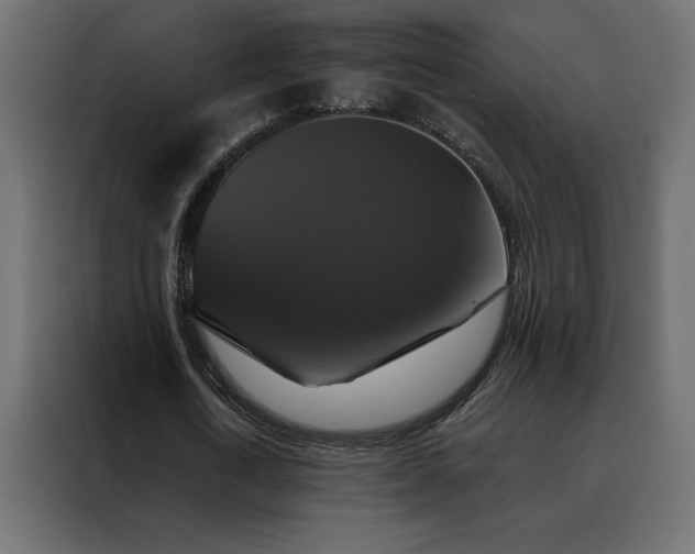 X0000088470722200705221402