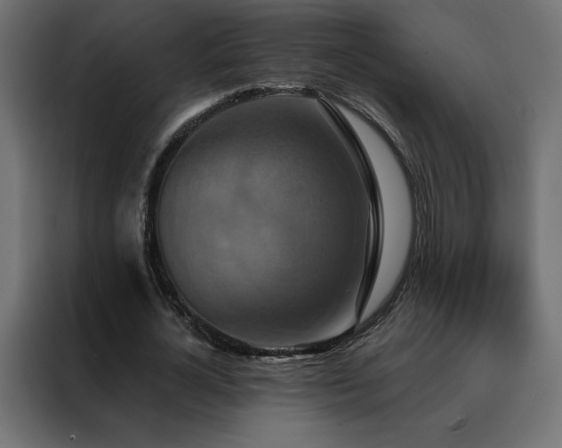 X0000088470724200705221402