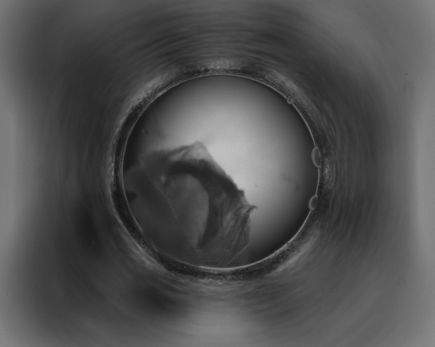 X0000088470725200705221402