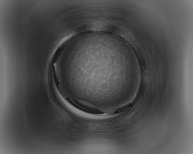 X0000088470727200705221402