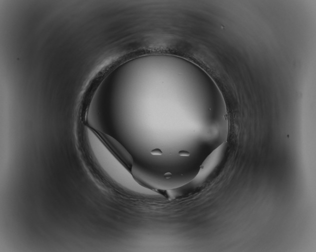 X0000088470728200705221402