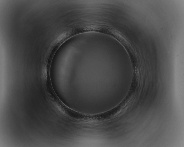X0000088470729200705221402
