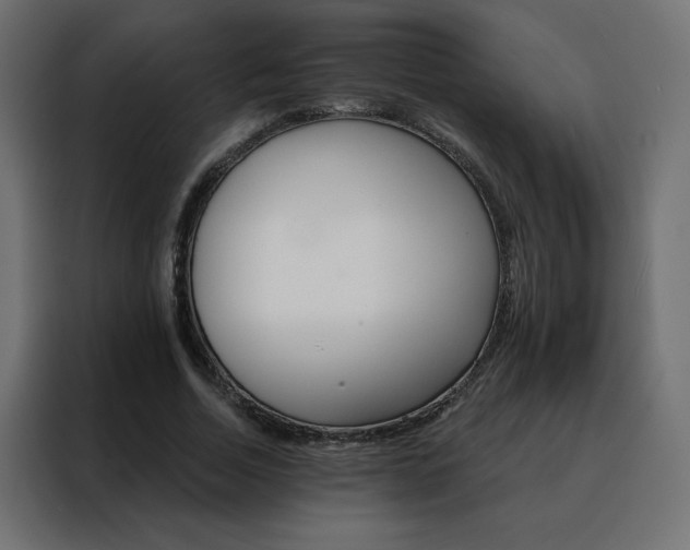 X0000088470730200705221402