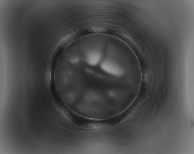 X0000088470733200705221402