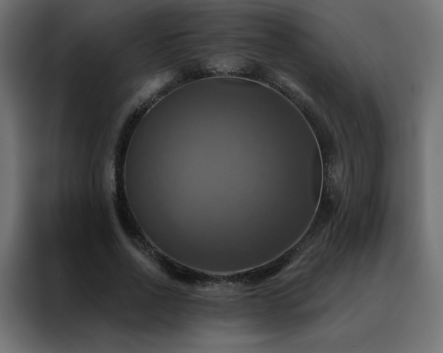 X0000088470734200705221402