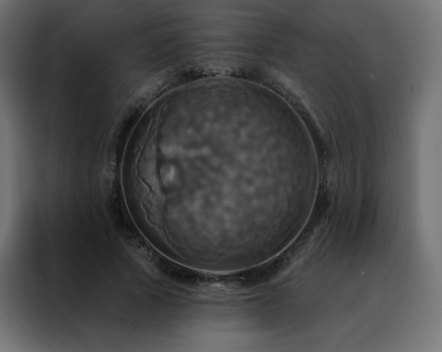 X0000088470737200705221402