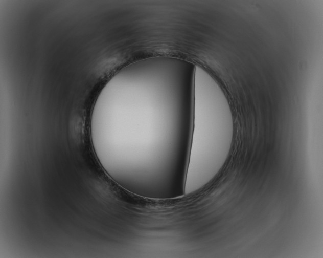 X0000088470739200705221402