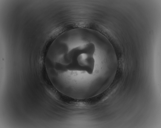 X0000088470741200705221402
