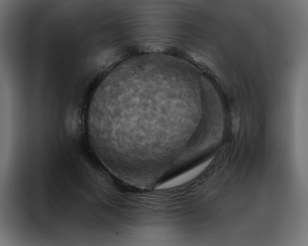 X0000088470743200705221403