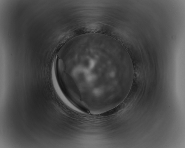 X0000088470745200705221403
