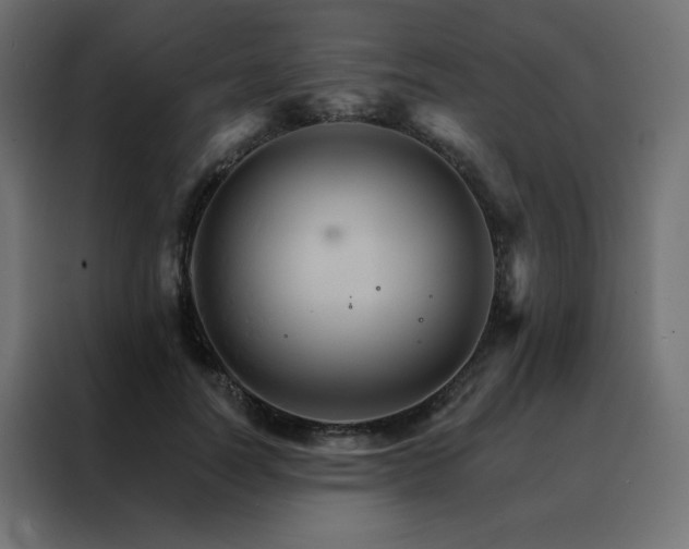 X0000088470746200705221403