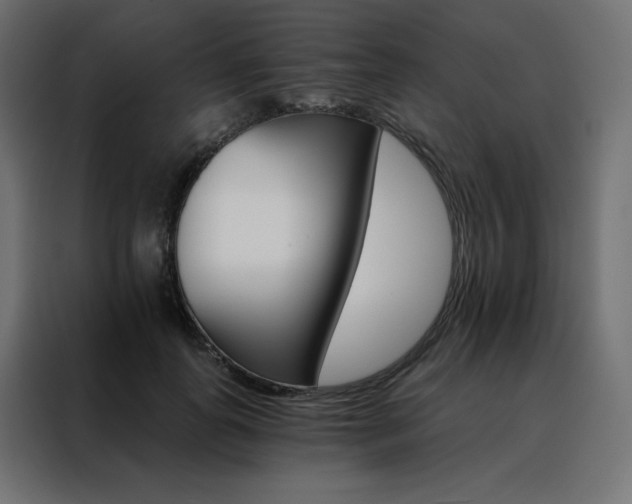 X0000088470747200705221403