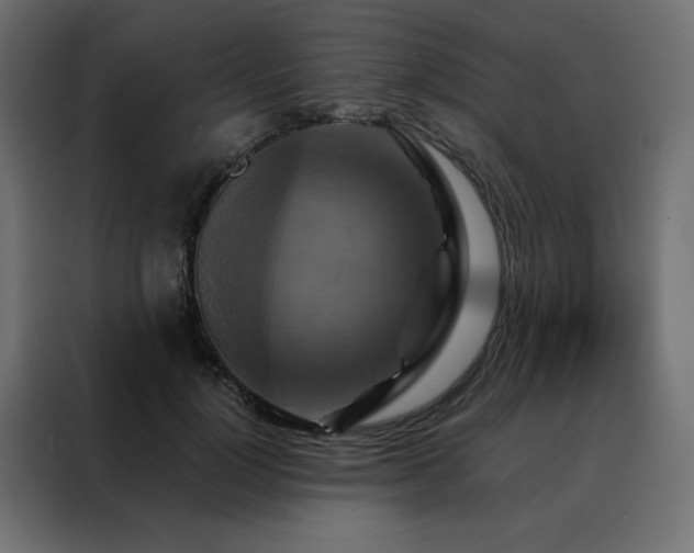 X0000088470748200705221403