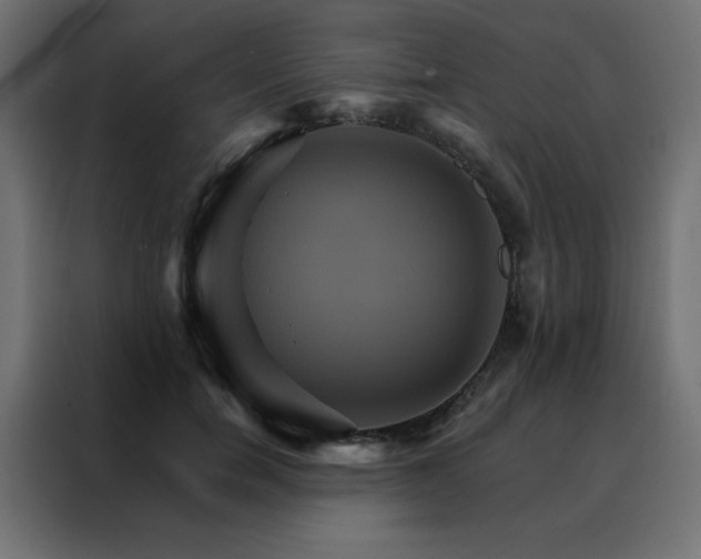 X0000088470750200705221403