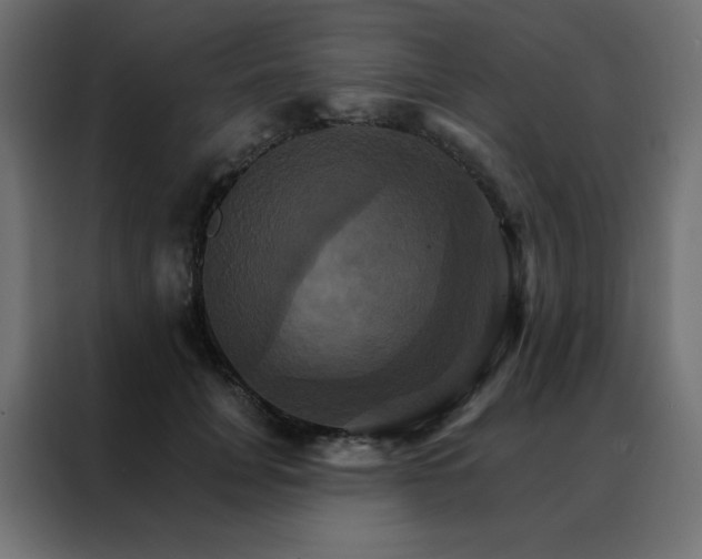 X0000088470751200705221403