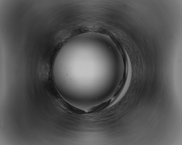 X0000088470752200705221403