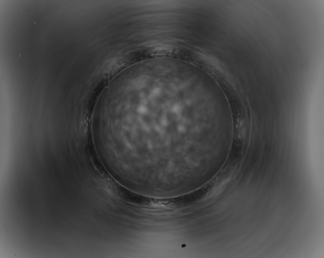 X0000088470753200705221403