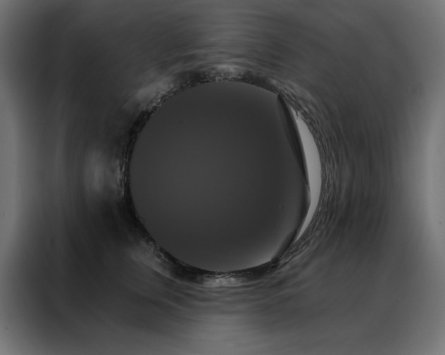 X0000088470759200705221403