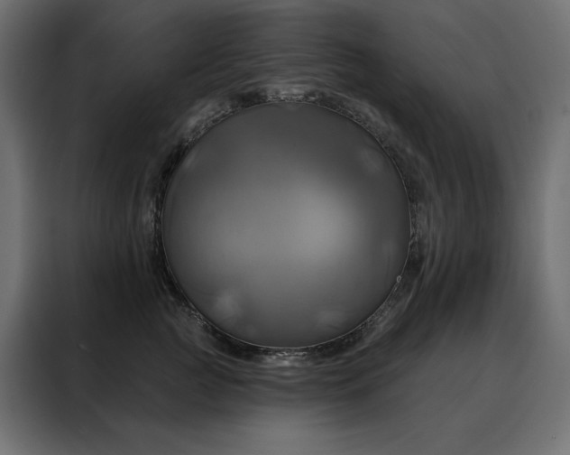 X0000088470761200705221403