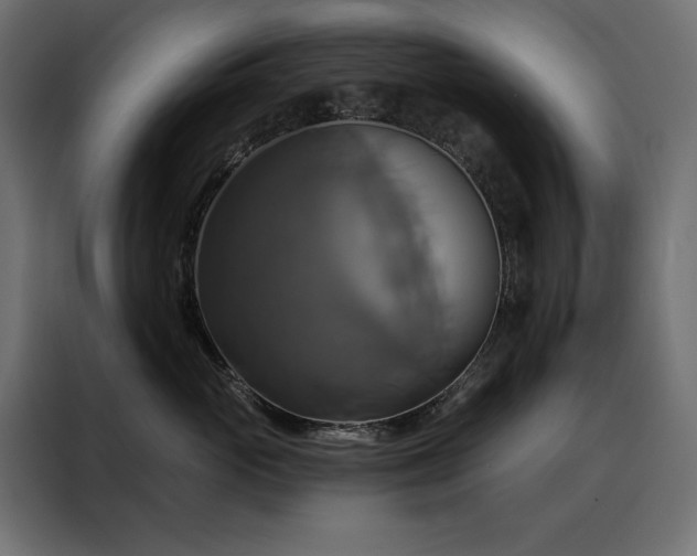 X0000088470765200705221403