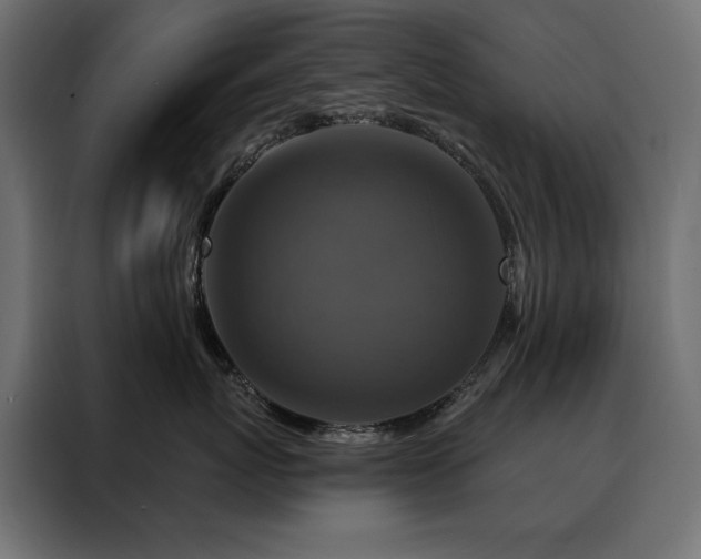 X0000088470767200705221403