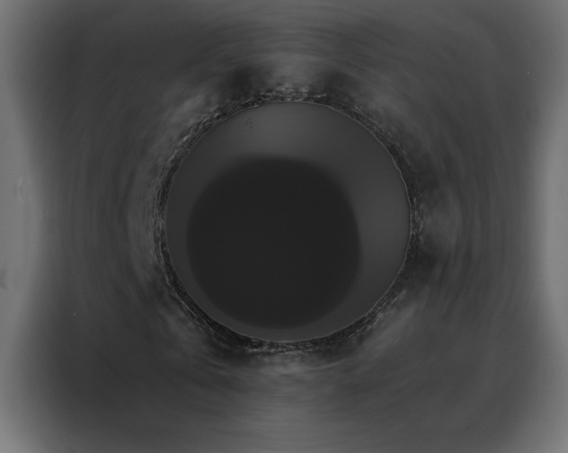 X0000088470769200705221402