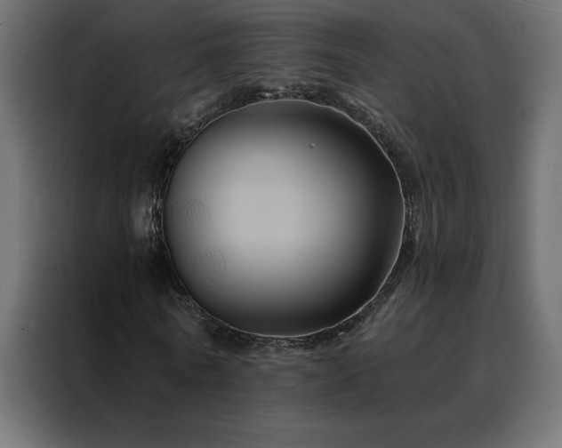 X0000088470770200705221402
