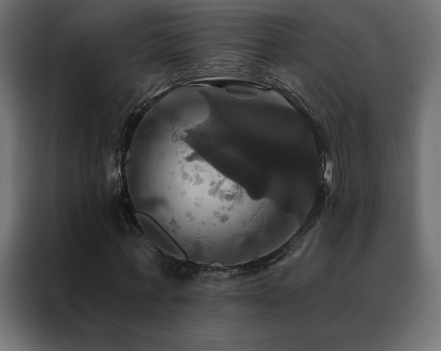 X0000088470771200705221402