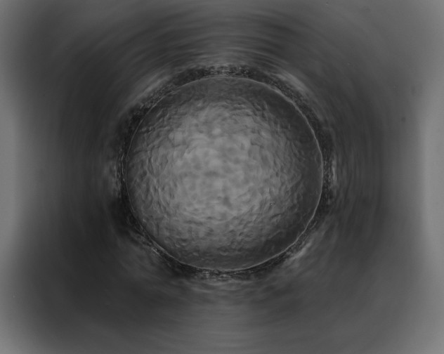 X0000088470774200705221402
