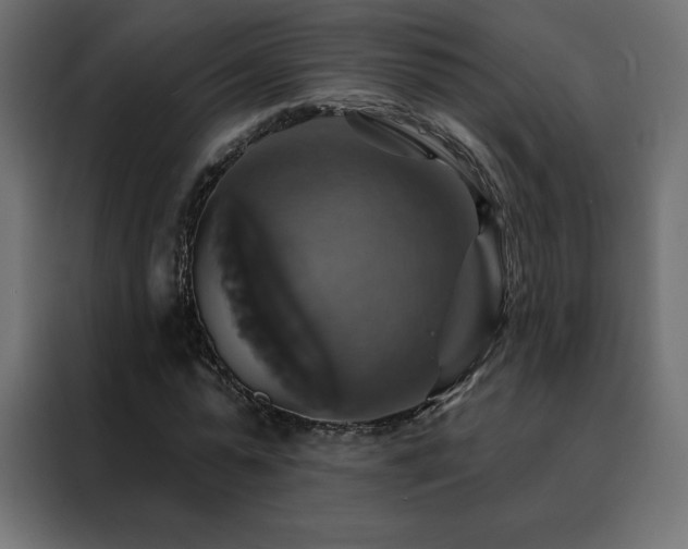 X0000088470775200705221402