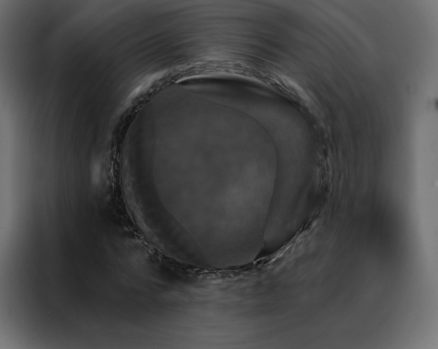 X0000088470776200705221402
