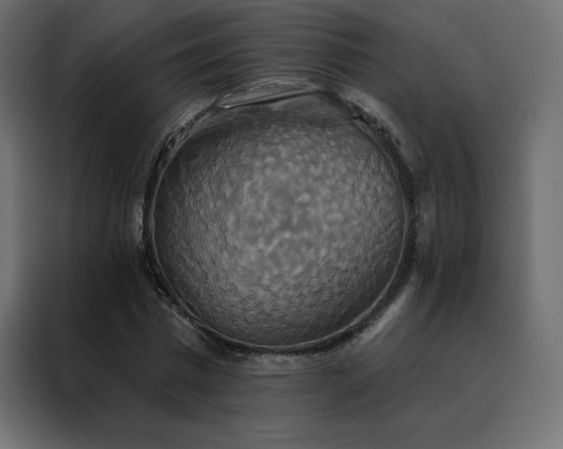 X0000088470777200705221402