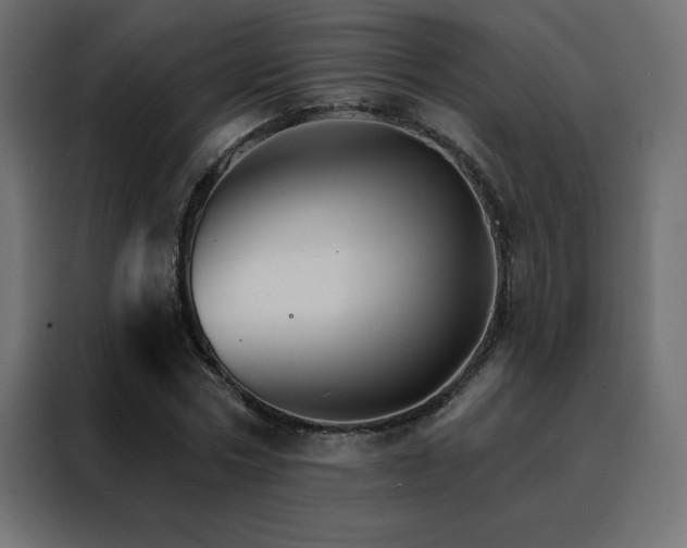 X0000088470778200705221402