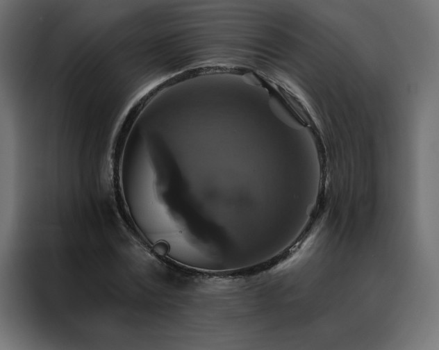 X0000088470779200705221402