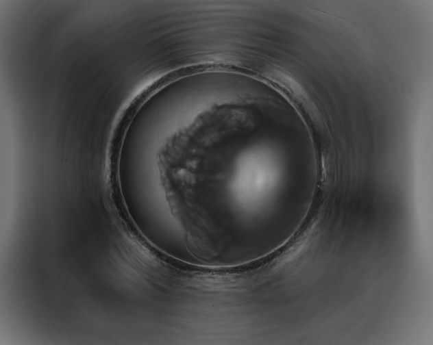 X0000088470780200705221402