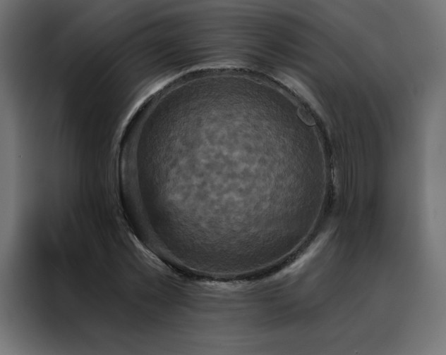 X0000088470781200705221402