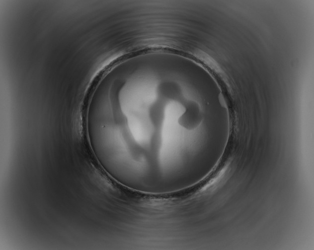 X0000088470782200705221402