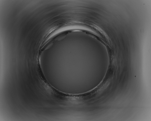 X0000088470785200705221402