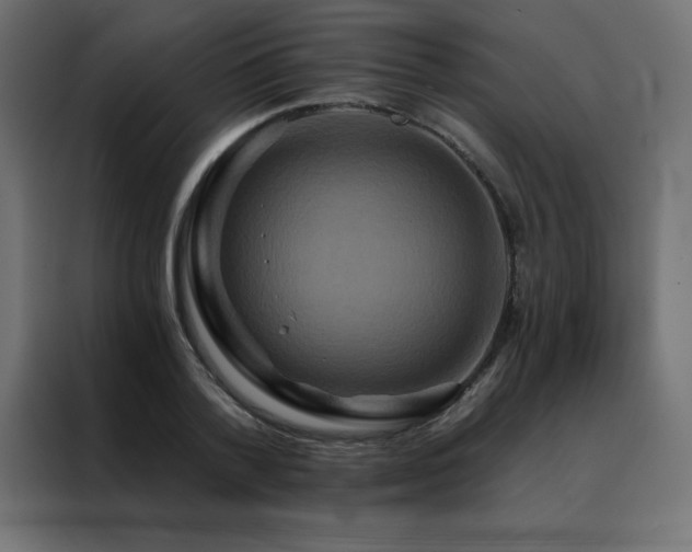 X0000088470788200705221402
