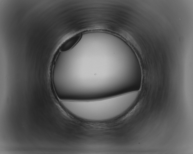 X0000088470789200705221402