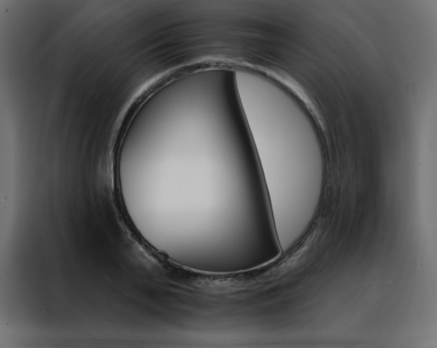 X0000088470791200705221402