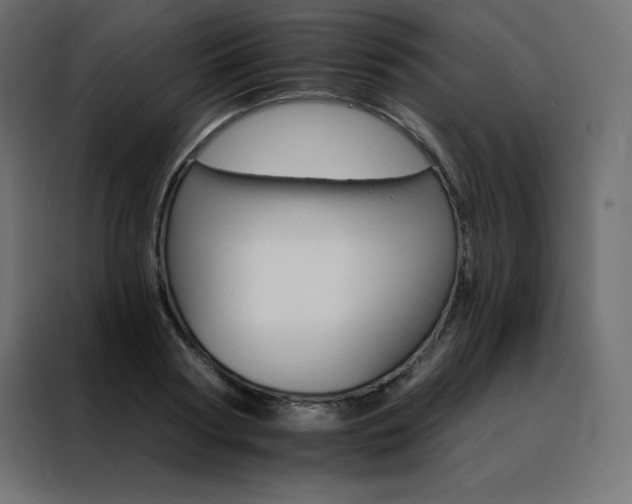 X0000088470794200705221402