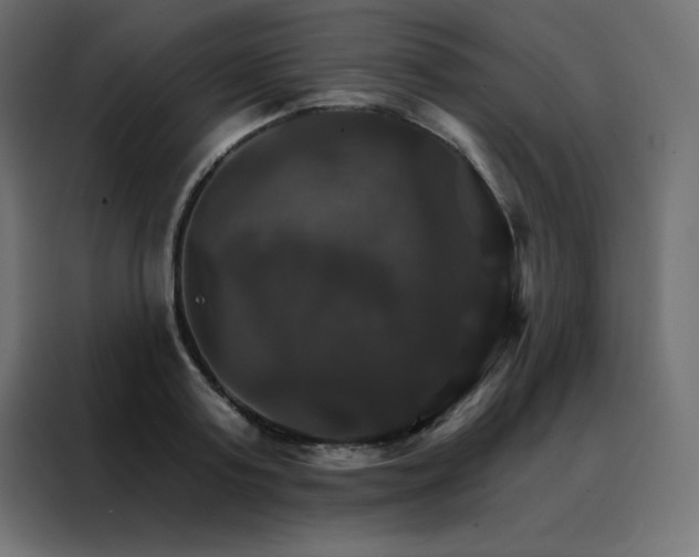 X0000088470795200705221402