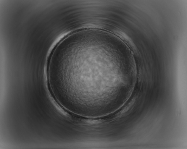 X0000088470796200705221402