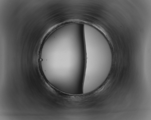 X0000088470799200705221402