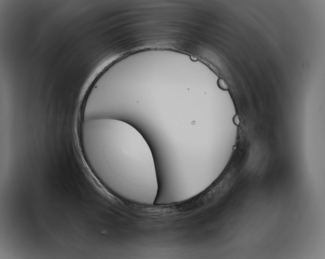 X0000088470804200705221402